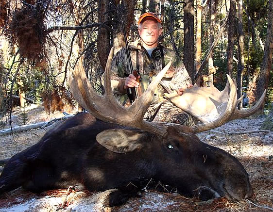 Moose Hunting Pinedale, Wyoming